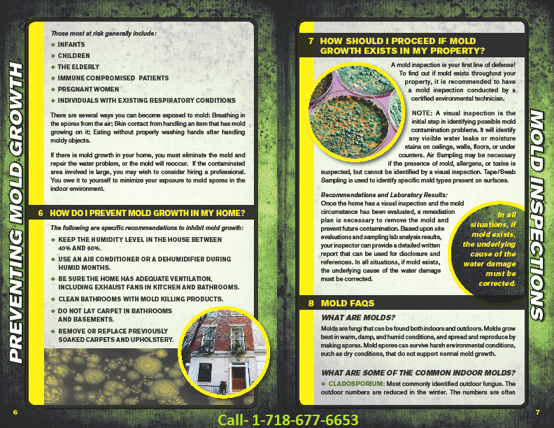 NYC mold inspection brochure3