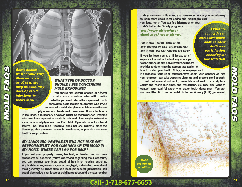 NYC mold inspection brochure5