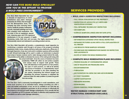 NYC mold inspection brochure7'