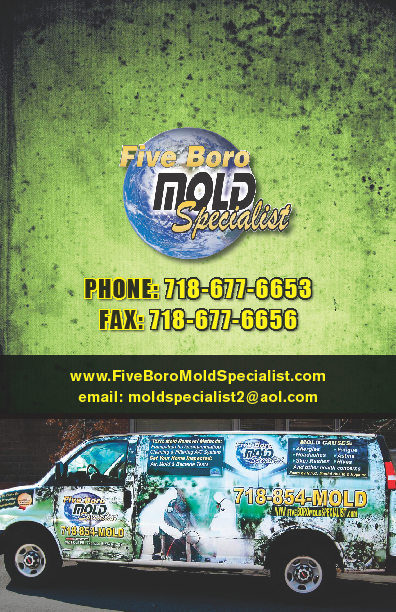 NYC mold inspection brochure9'