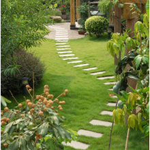 Lawn Applications'