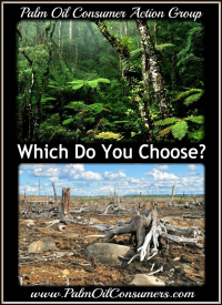 Consumers choice for palm oil