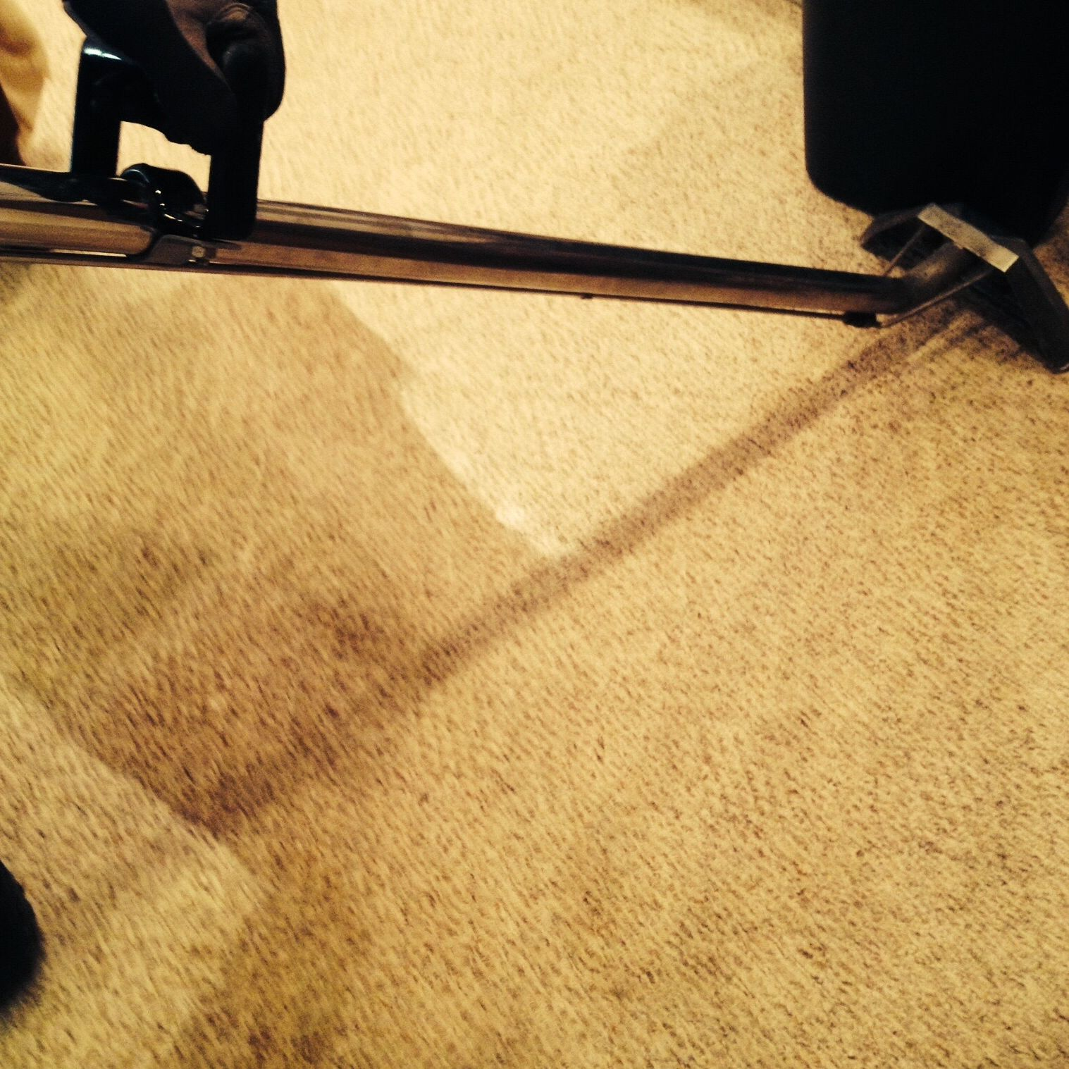 Carpet Cleaning'