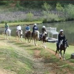 Cedar Creek Stables Logo