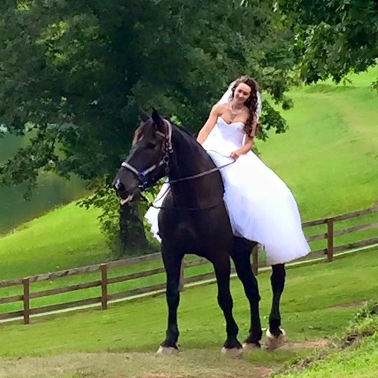 Horseback Trail Rides'