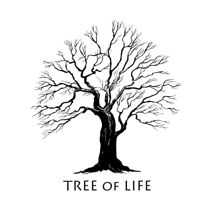 Life Matters Counseling And Therapy Logo