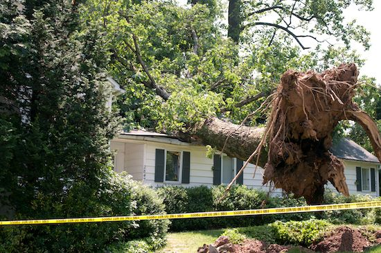 Insurance Claims'