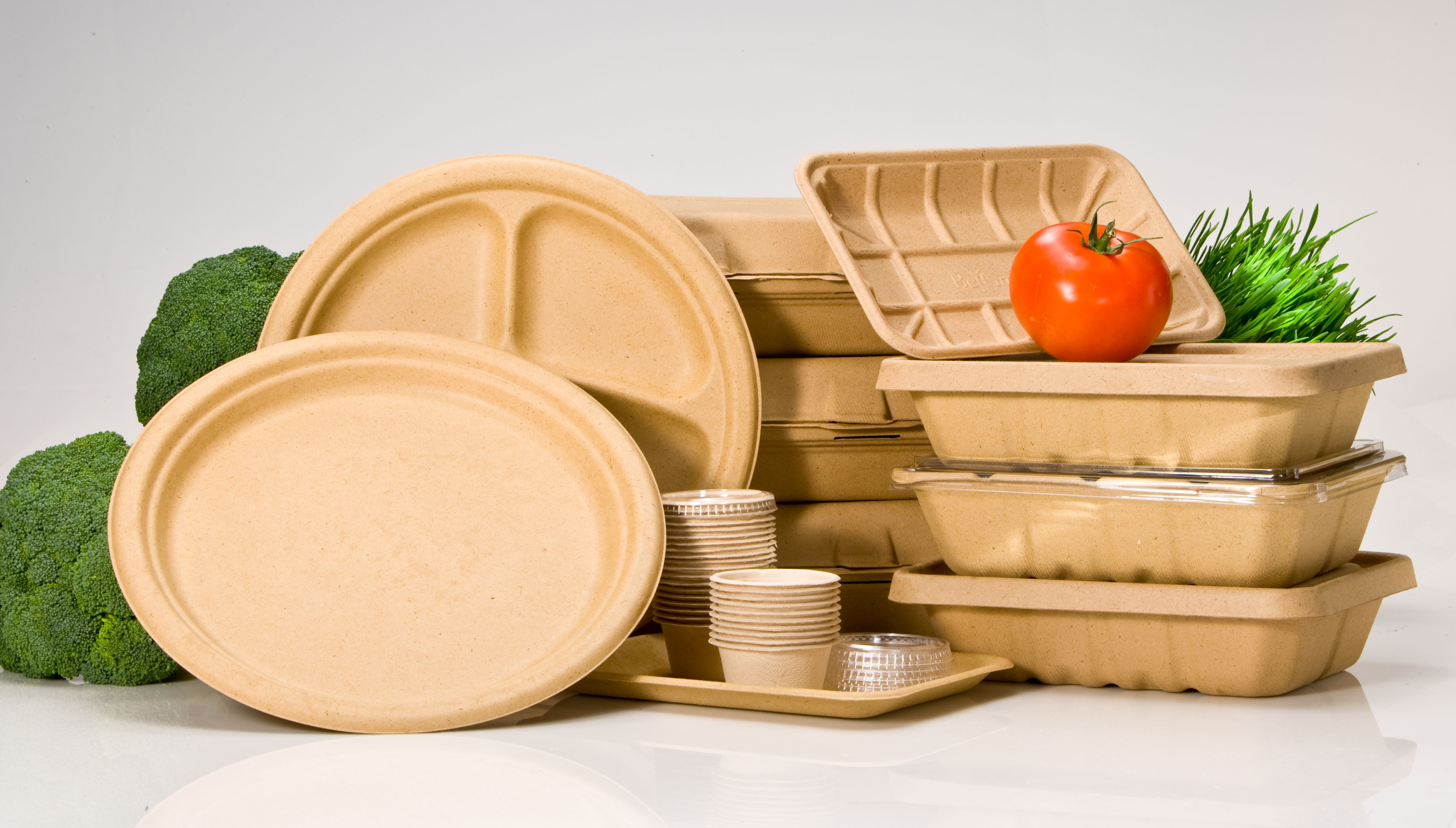 Compostable Tableware Market