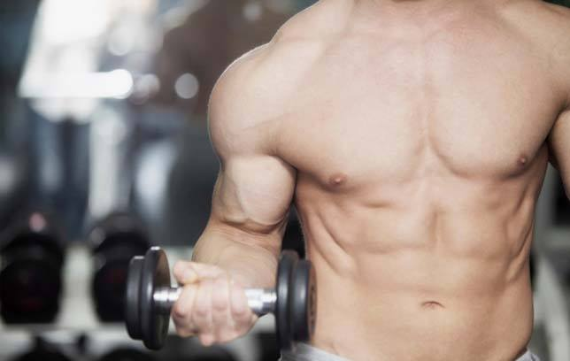 Chiropractor Park Ridge'