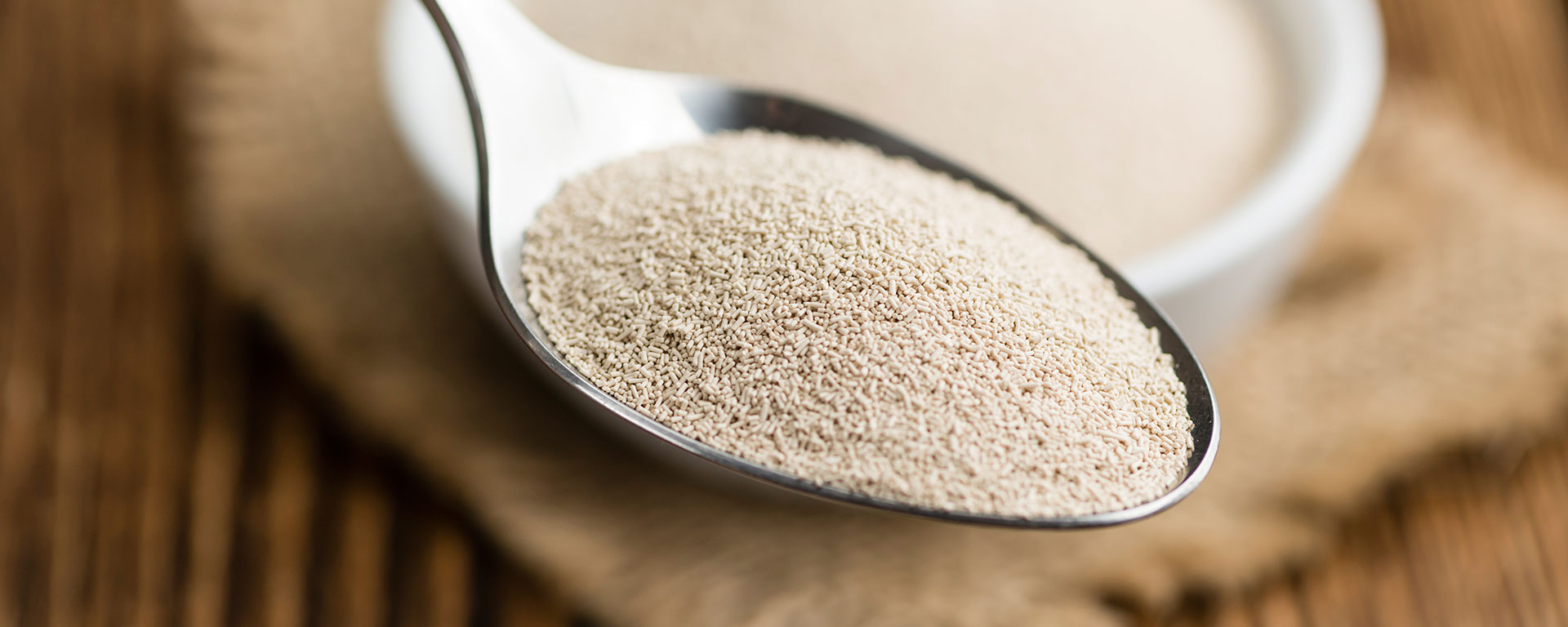 Yeast Market