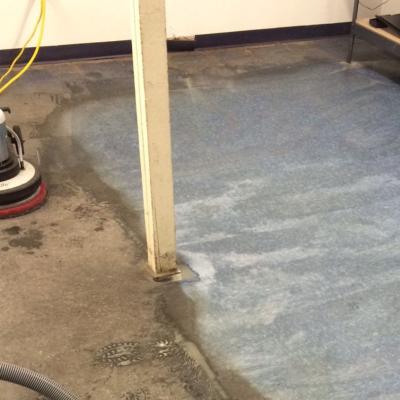 Upholstery Cleaning'