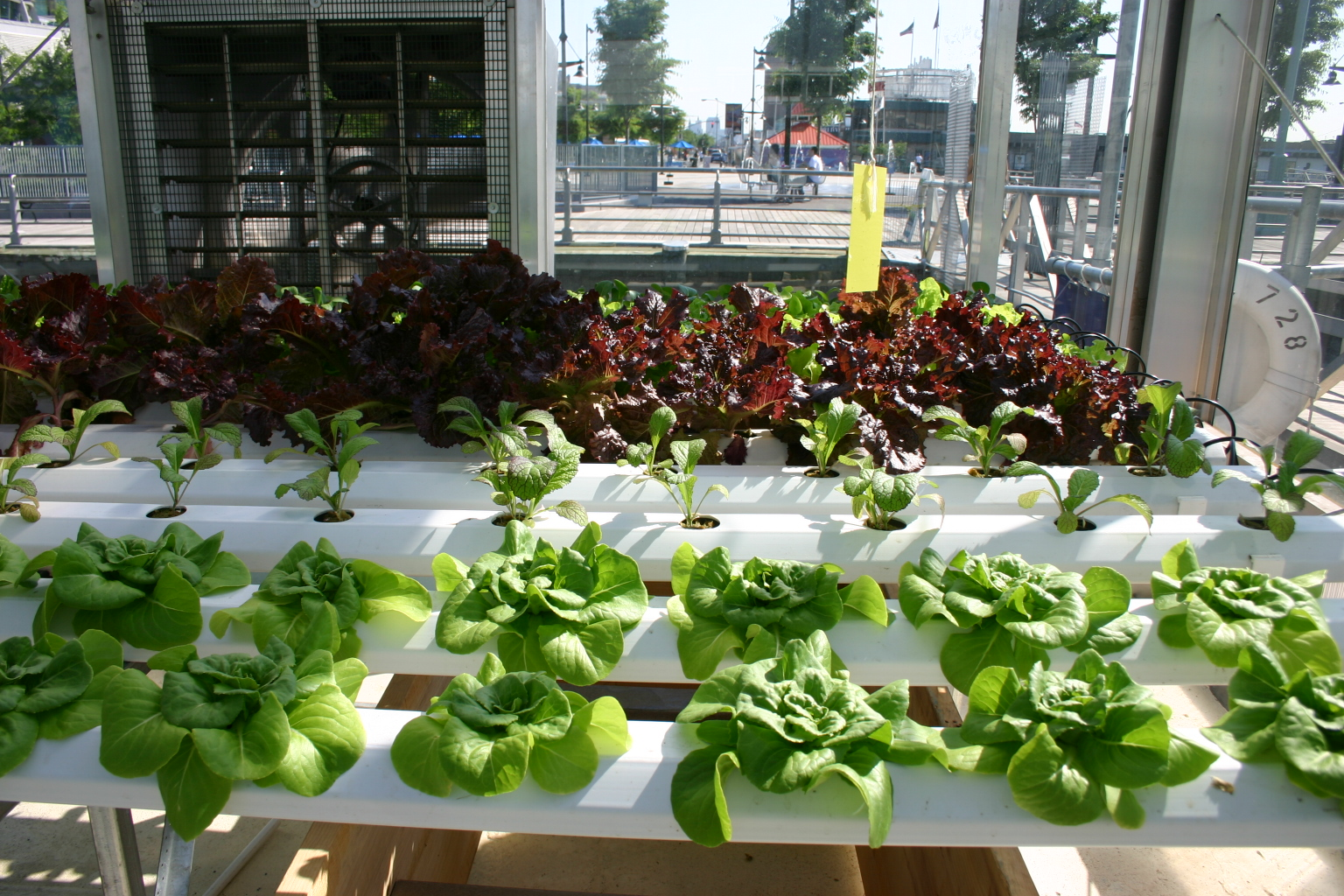 Hydroponics Market