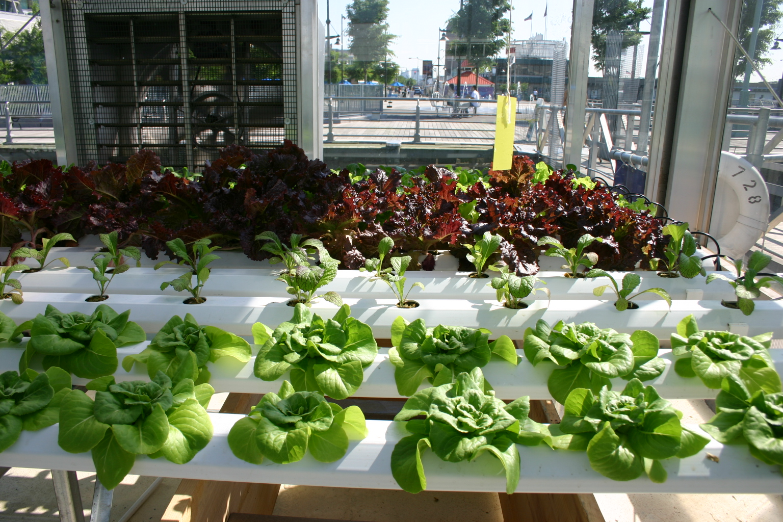 Hydroponics Market'