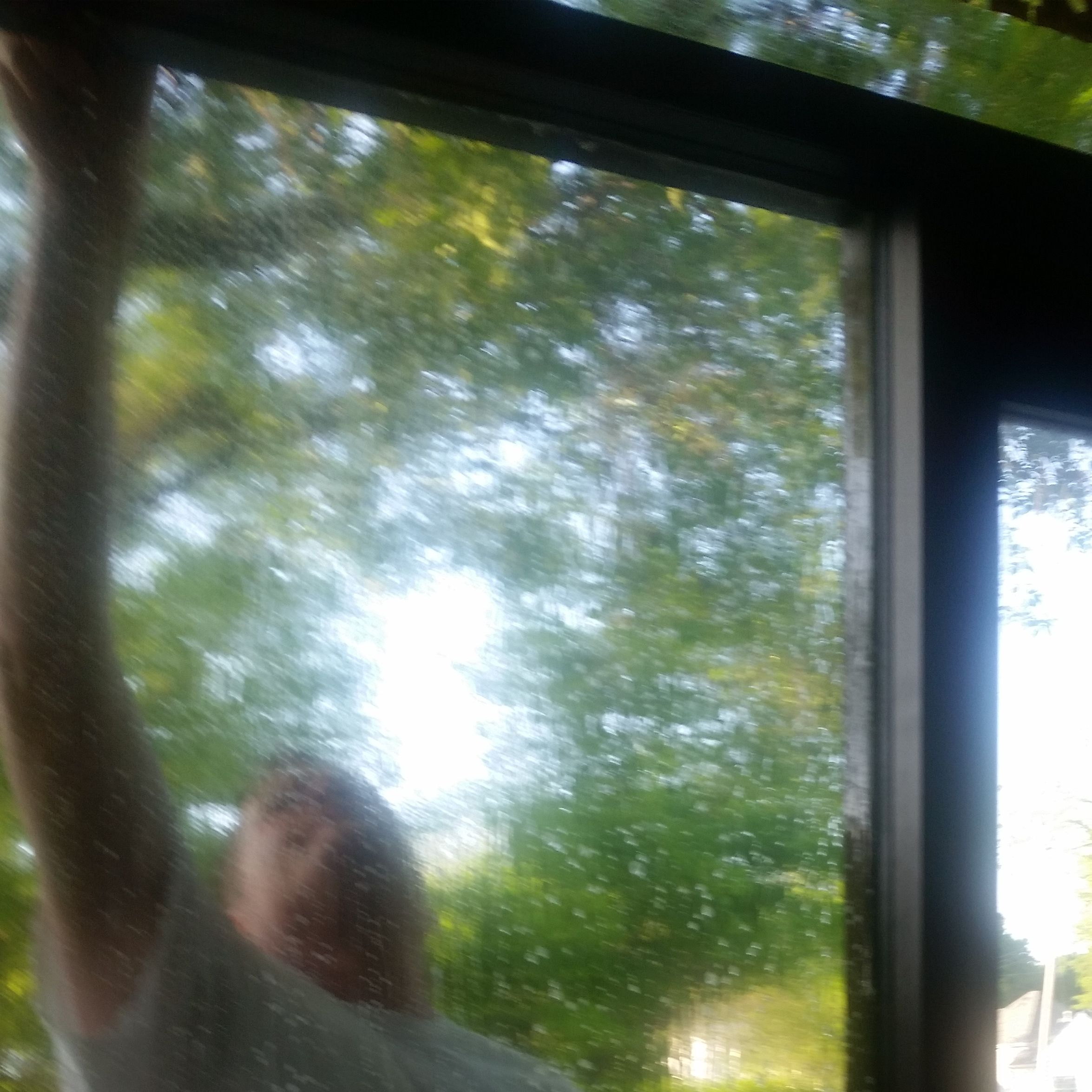 Commercial Carpet Cleaning'