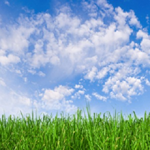 Hotel Housekeeping Service1'