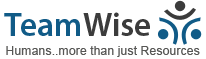 TeamWise