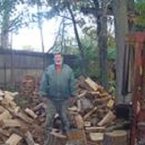 Tree Service'