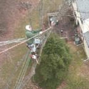 Tree Pruning'