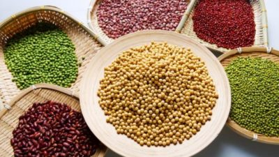 Seed Treatment Market'
