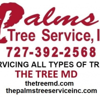 The Palms Tree Service, Inc. Logo