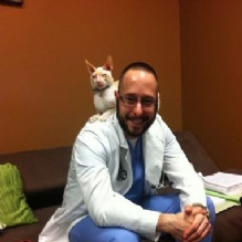 Company Logo For Wilton Manors Animal Hospital'