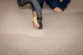 Company Logo For Carpet Flood Damage Adelaide'