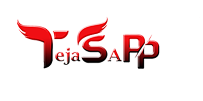 Tejas App International Pvt. Ltd. Logo