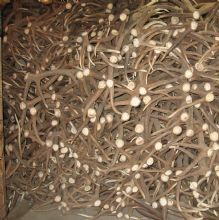 Company Logo For Heads, Hides and Horns'