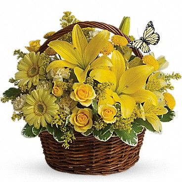 Company Logo For Avio Flowers'