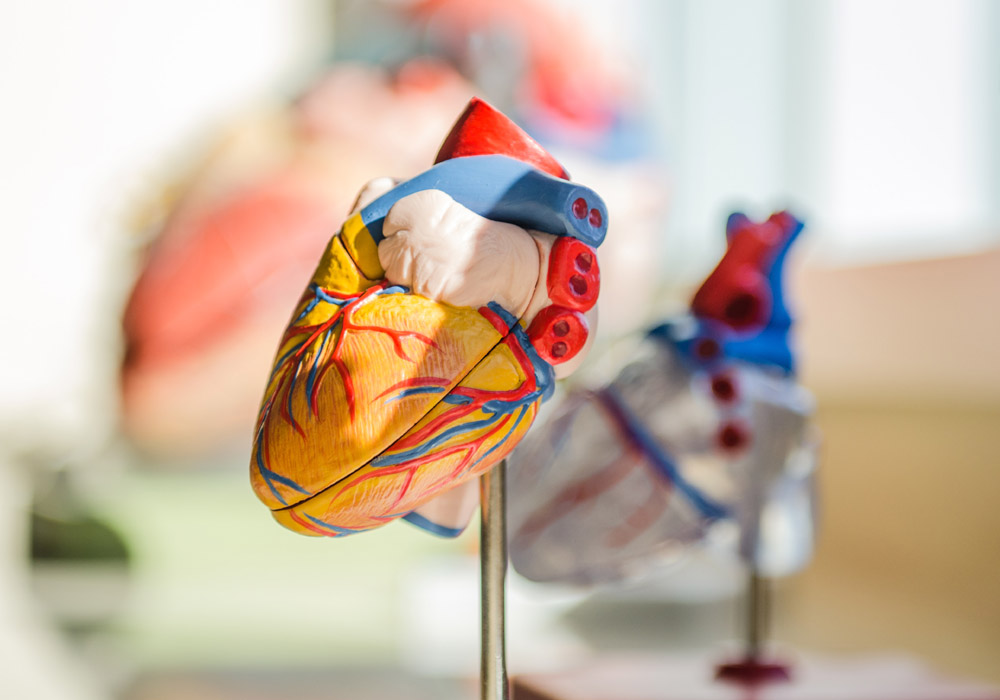 Obesity Surgery in New York City