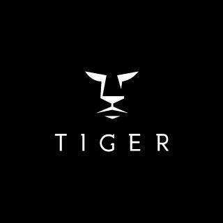 Company Logo For Tiger Financial Ltd'