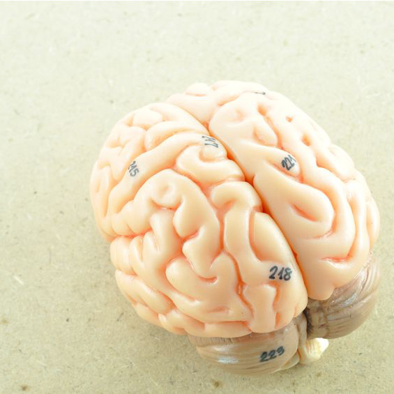 New Freedom Acupuncture And Oriental Medicine