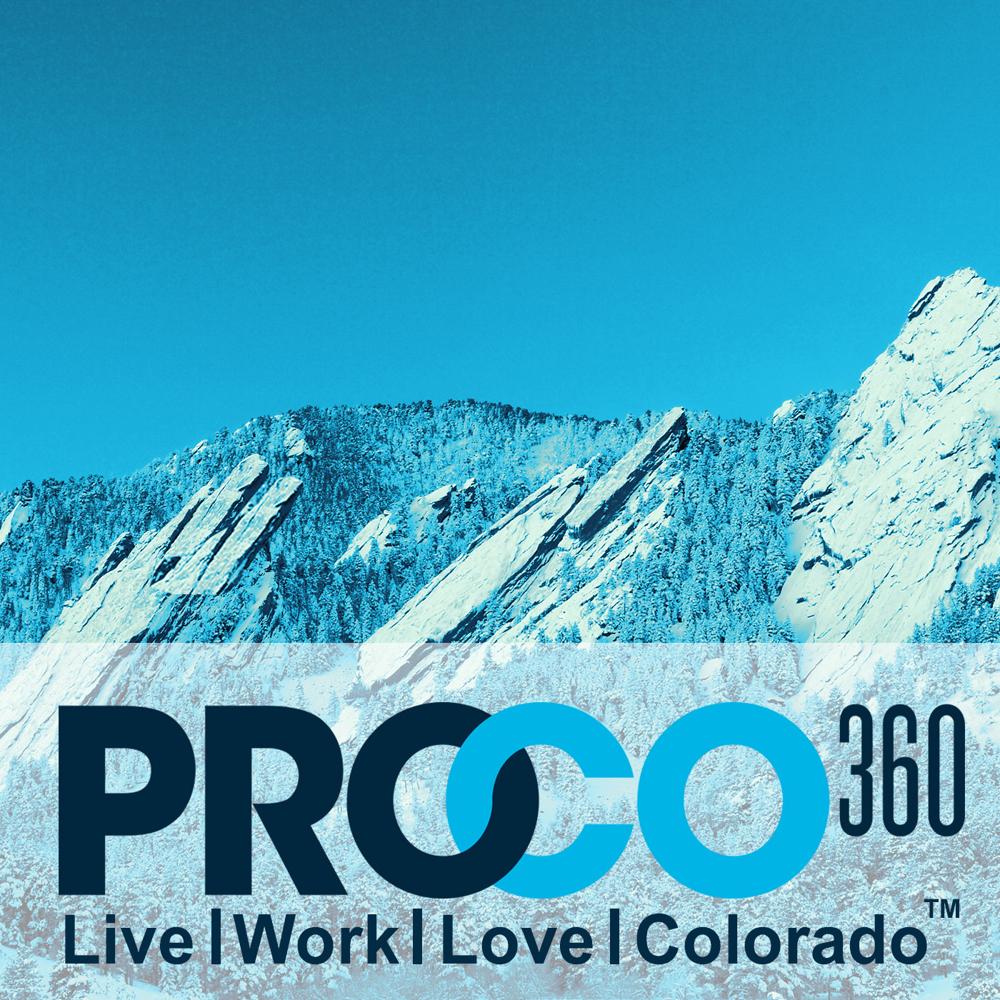 Company Logo For Proco360 &ndash; Voted Best Podcast'