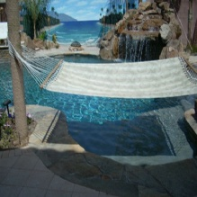Pool Design'