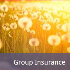 Group Health Insurance'