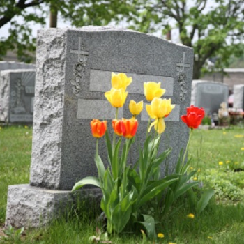 Paul Ippolito - Dancy Memorial Logo