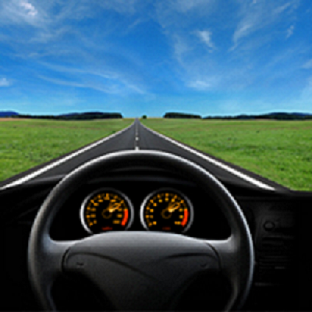 Windshield Replacement'