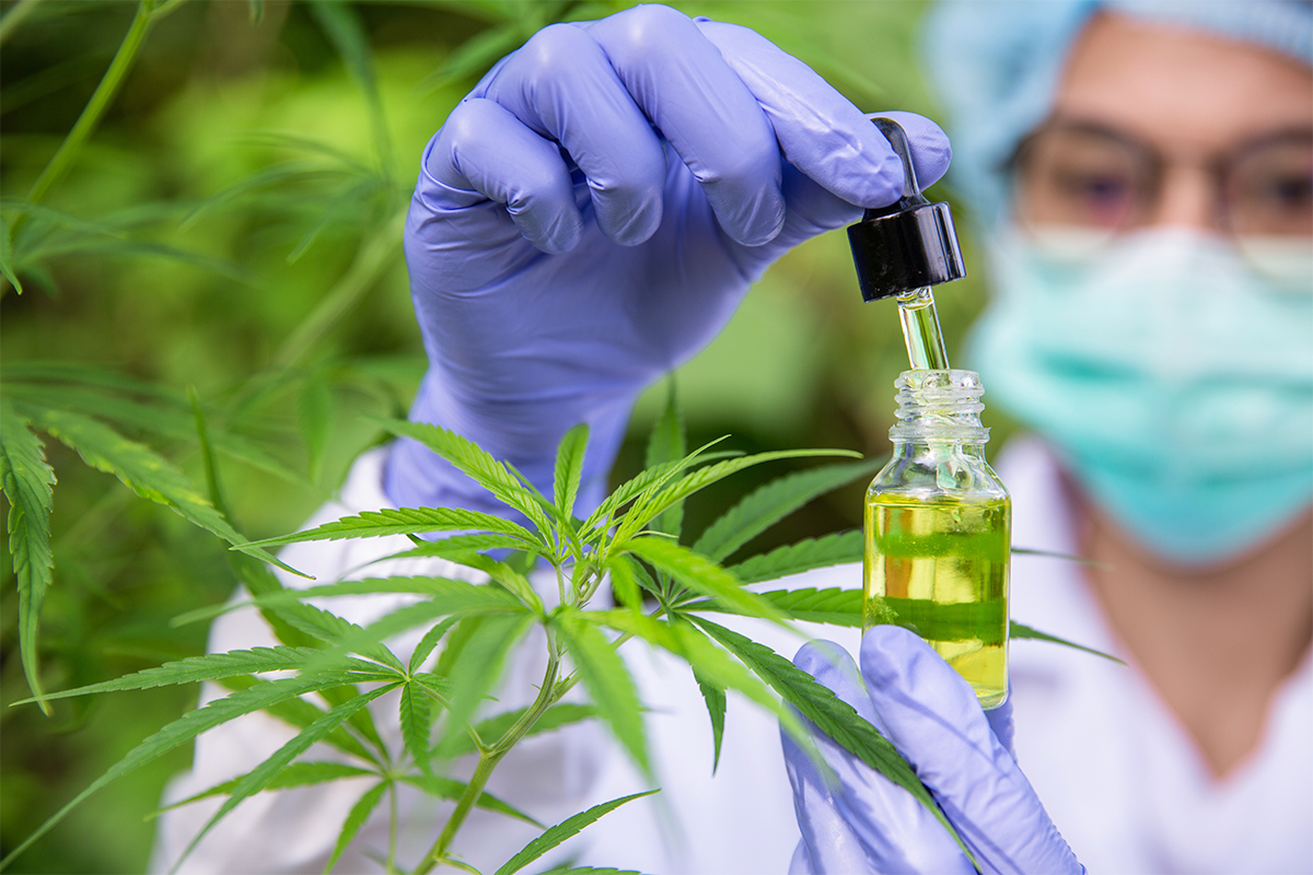 CBD For Pets St Louis'