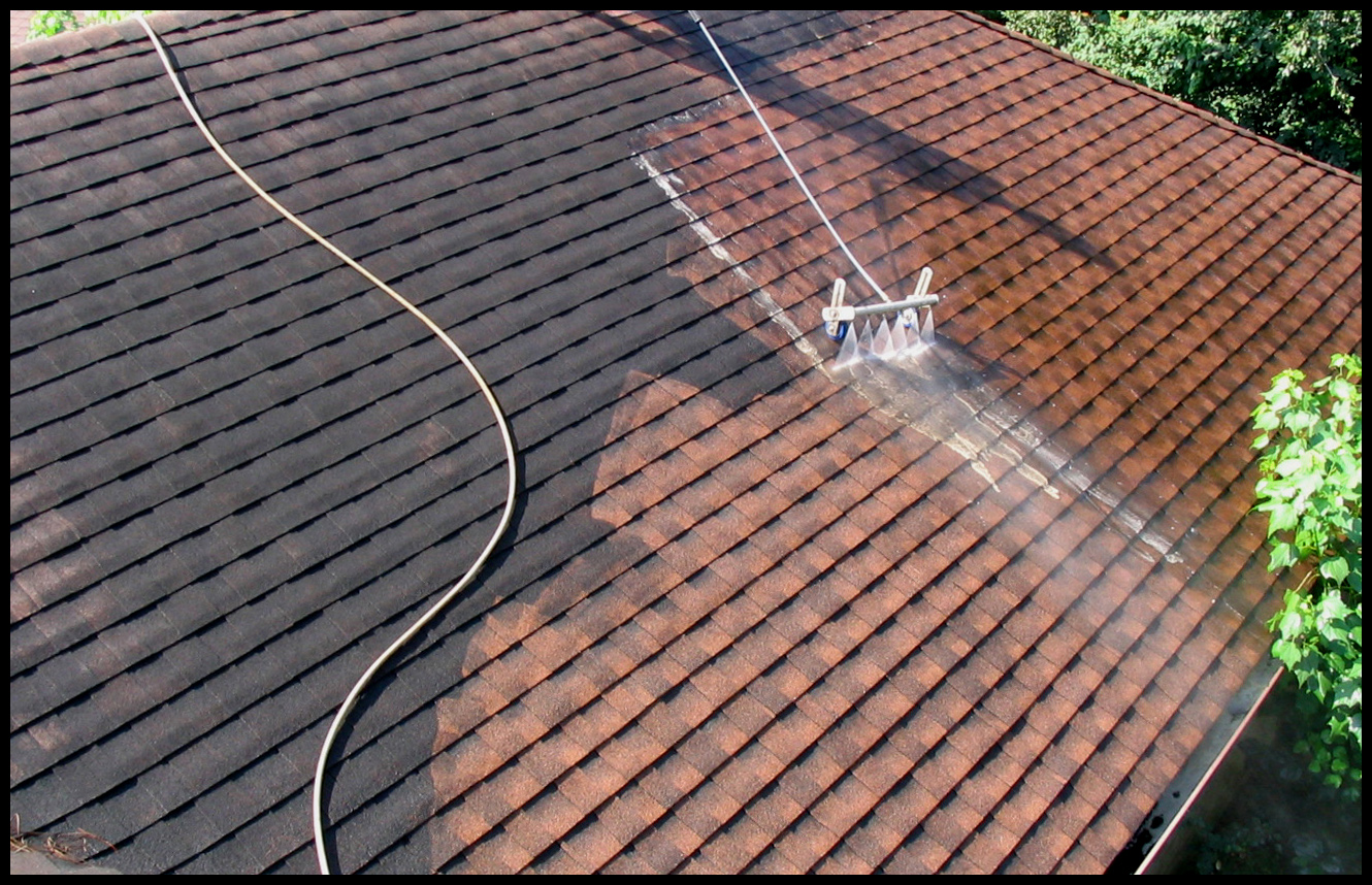 Roof Cleaning Service'