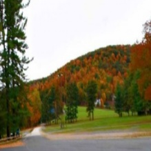 Lodge'