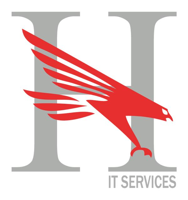 Company Logo For Hawks IT Services Pvt Ltd'
