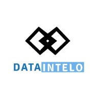 Company Logo For Data Intelo'