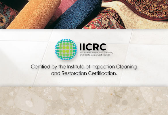 Company Logo For Fiber Care of Atlanta'