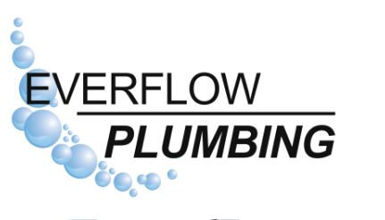 Company Logo For Everflow Plumbing'