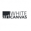 Art White Canvas'