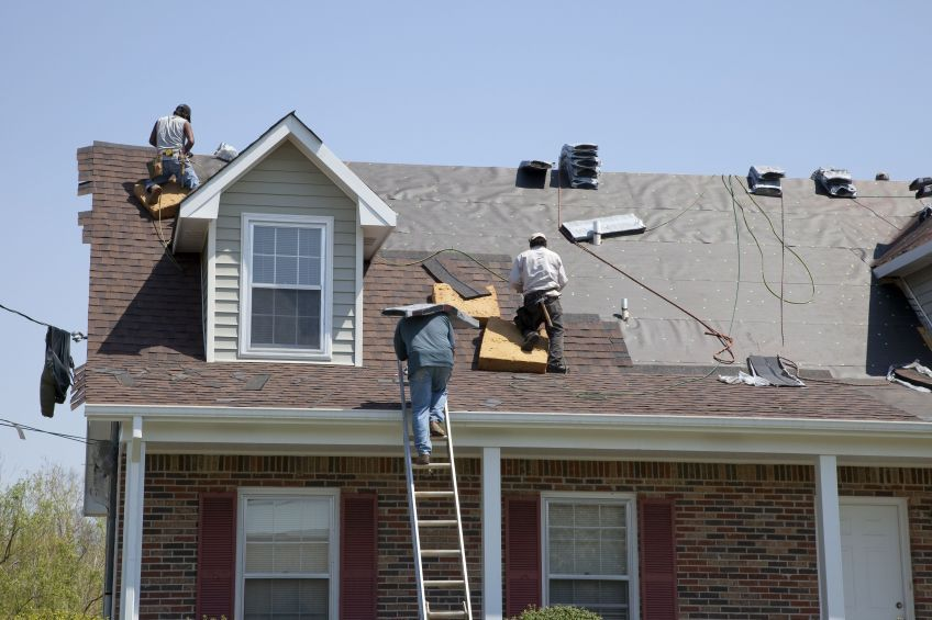 New Construction Contractor'