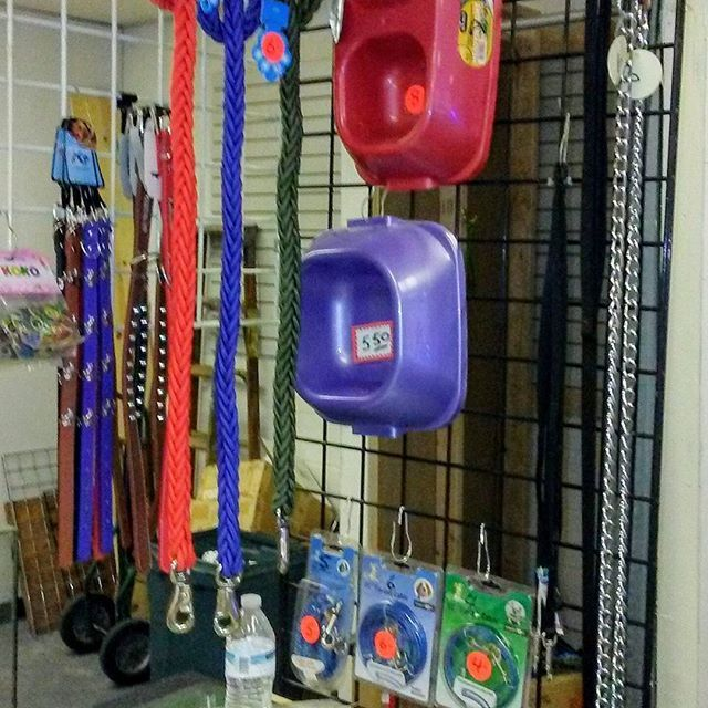Navy Surplus'