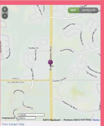 Ho Wok Dominates the Chinese Food Scene Wesley Chapel'