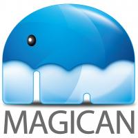 Magican Software Ltd. Logo