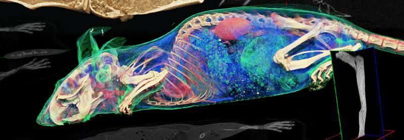 Multimodal Imaging Market